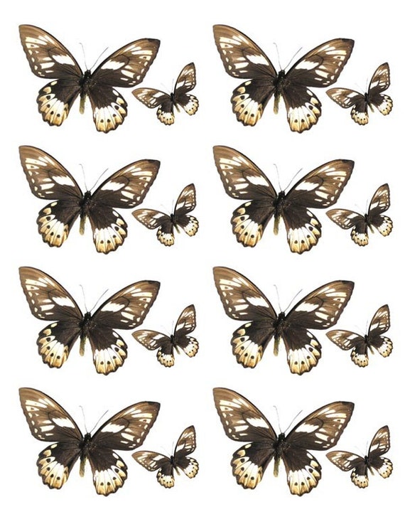 Custom Ceramic Decals by LadiesInWhite on Etsy