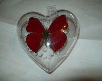 Red Butterfly Hearts Of Love Valentines Forget me Not