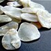 Mother of Pearl sea shells for crafts and jewelry. sea supplies.