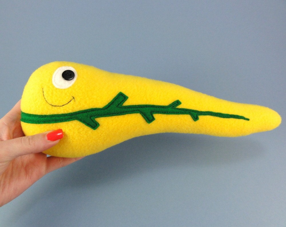 pancreas stuffed toy