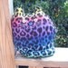 Rainbow Leopard Pillow Cat