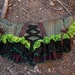SALE AmaZon FroG RuffLe BustLe AdjustABLe SizE