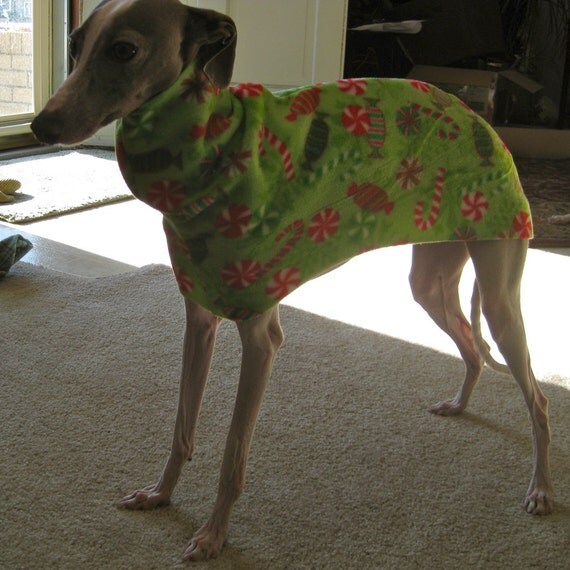 Italian Greyhound Dog Coat with Christmas Candy sz small