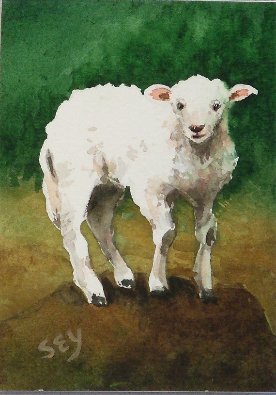 Aceo Original Watercolor Paintings Sheep Spring Lamb