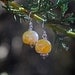 Lemon Yellow, Amber Earrings, summer, sunshine, yellow