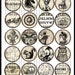 Steampunk Vintage Style Flat back, pin back or hollow buttons set of 20