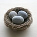 Mom's Nest (c) - set of 3 stones in bird nest