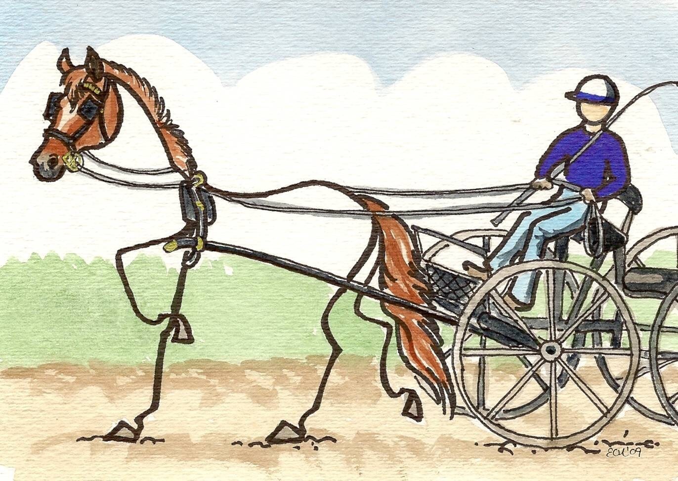 CARRIAGE DRIVING STICK HORSE art for fun people