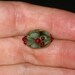 Handmade Lampwork Made to Order Christmas Beads