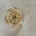 Vintage Order of The Eastern Star Screw Back Earring