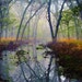 Autumn, Forest, Water, Pond, Trees, Landscape, Nature Photograph, Fine Art Painted Photograph, Giclee Print