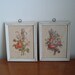 pair framed floral prints - signed T L Prevost