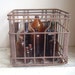 vintage primitive metal milk crate