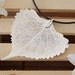 Real Leaf Necklace, Cottonwood Necklace Antique Sterling Silver 2