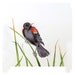 Original Watercolor Painting Bird Art Black Red Male: Autumn Apartment Dorm Men Women Children Feathers Nursery Freedom 7 x 9 Under 55