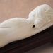 Asian Chinese Doctor Doll Medicine Doll Ivory Etsy
