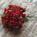 Red Silk Vintage Inspired Millinary Posies - ZNE