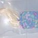 Gift Tag Butterfly Print Spring Large One Dozen