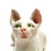 cat figurine - white as the moon, wise as the rhyme - porcelain figurine