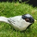 chickadee figurine - porcelain sculpture
