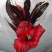 Red Iris Feather Fascinator HairClip