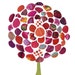 Vino Zinnia 5x7 Limited Edition Recycled Collage Print