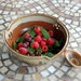Berry Bowl Colander in Rustic Red