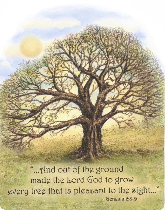 tree inspirational bible verse Genesis religious Moosup giclee