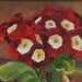 Still Life Oil Painting: Red Primrose in Clay Pot 8 x 10