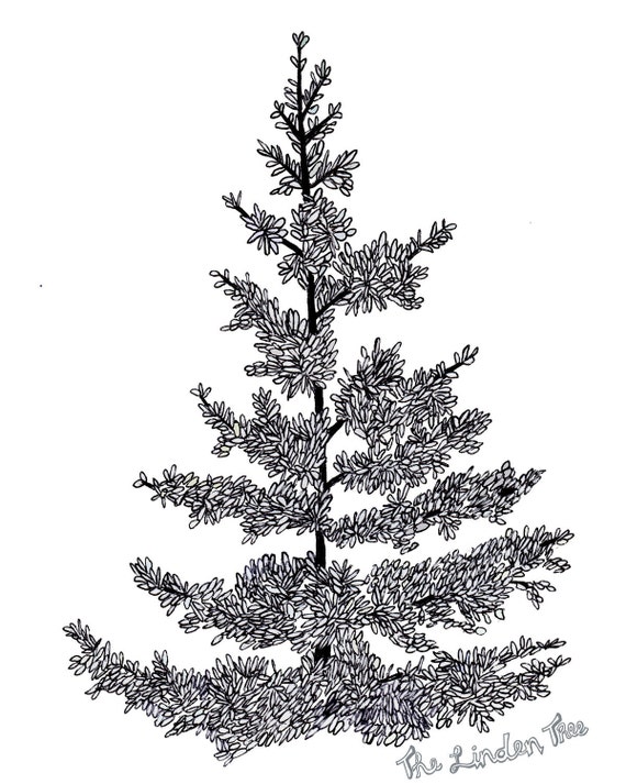 Items similar to Pine Tree Ink Drawing digital print on Etsy