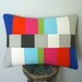 Graphic Throw Lumbar Pillow - Testing...Testing