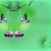 Silver Hummingbird Earrings - Hovering over Rainbow Faceted Crystal
