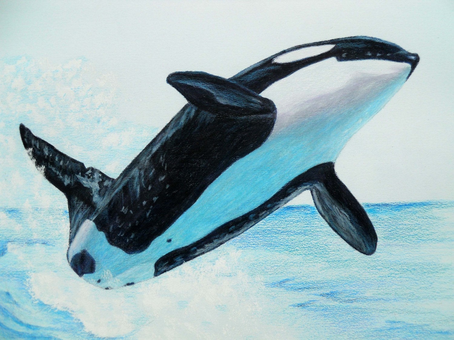 Whale Orig. Colored Pencil-Print