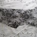 Y666 antique chantilly lace remnant Victorian era