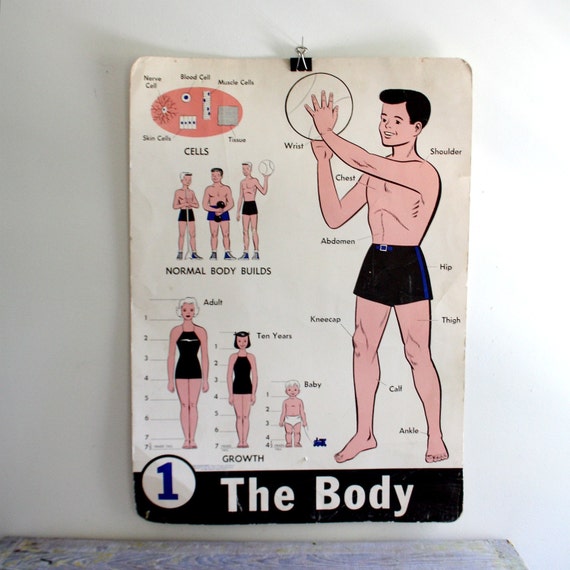 Vintage Body Chart
