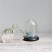 Small Vintage Display Dome