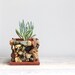 Vintage Modern Rock Specimen Planter