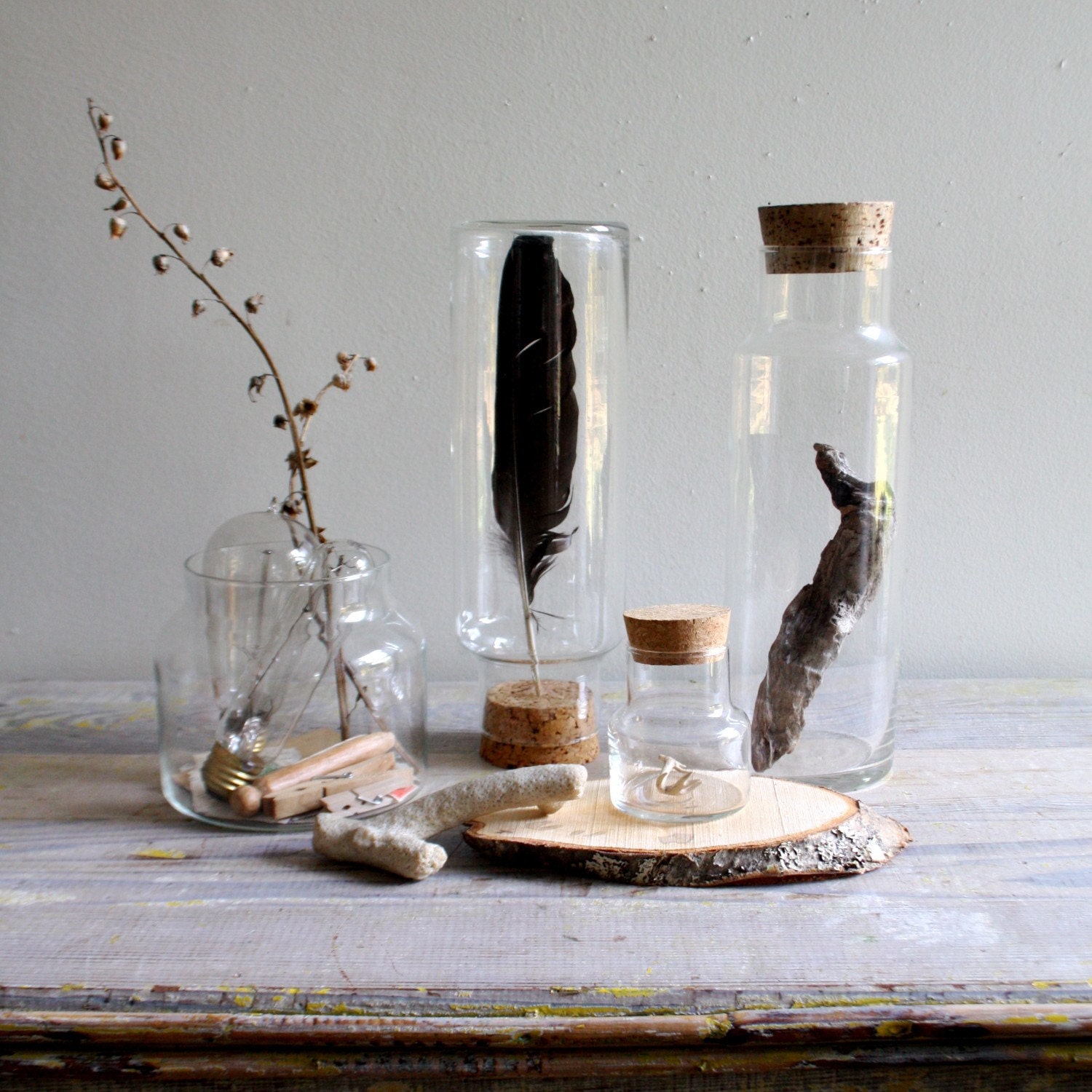 Four Vintage Glass Specimen Jars