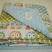 Short Legged Owls and Polkas Baby Minky Blanket 32 X 32 MADE TO ORDER