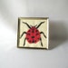 Vintage Needlepoint Picture Ladybug Cross Stitch Insect Critter Creature Fiber Art Needle Work Crafts
