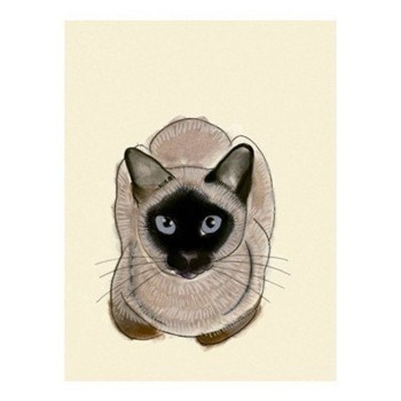 Siamese Cat Art Blue Eyes 4 X 6 print of cat drawing 4