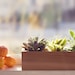 Modern Herb or Succulent Planter Box from Reclaimed Cedar