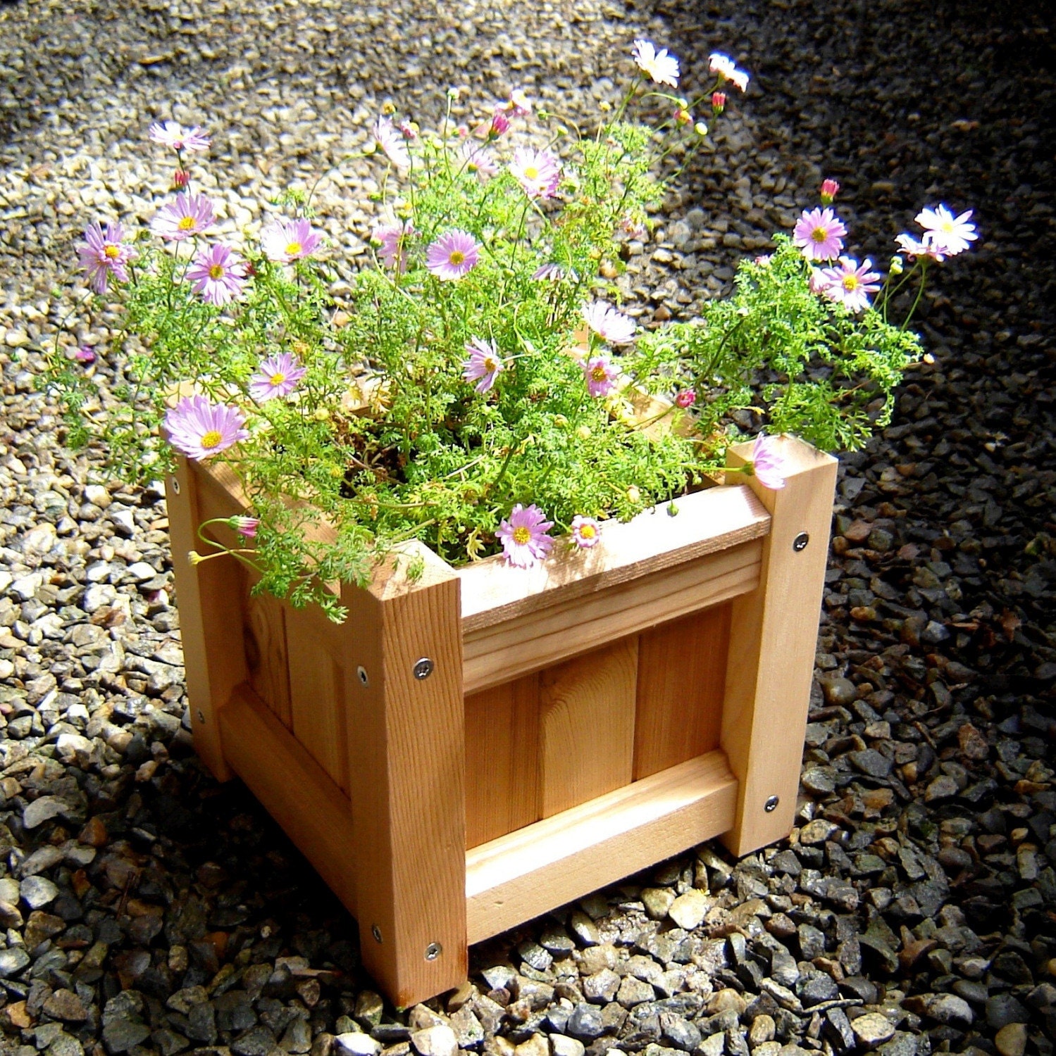 natural & brown layered handmade box wooden planter