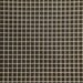 Black Window Pane Material Always And Forever By Alex Anderson For P & B - LAST PIECE