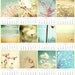 CLEARANCE - 2011 Calendar 12 soft beautiful pastel photos for the new year-A Year of Dreams - fine art stationery -5x7