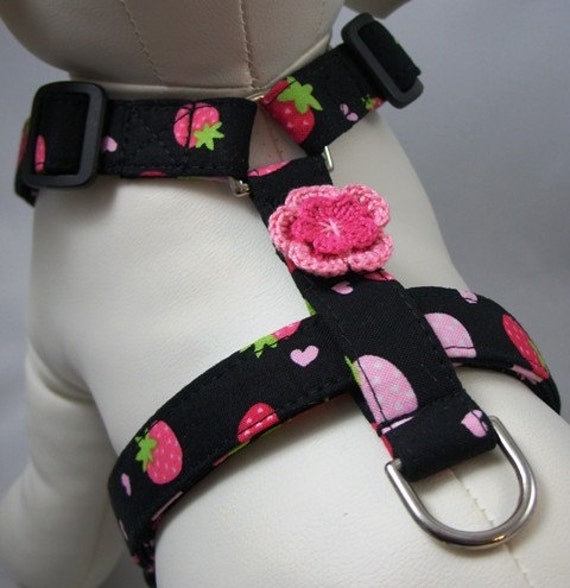 Dog Harness Strawberry Shortcake by on Etsy