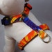 Dog Harness - Groovy Tie Dye