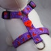 Dog Harness - Purple Heart
