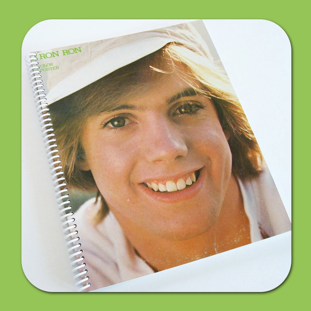 Shaun Cassidy Recycled Vintage Record Album Cover Spiral