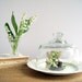 Vintage Glass Dome Cloche Terrarium Display / Cottage Chic / Antique Ironstone Plate